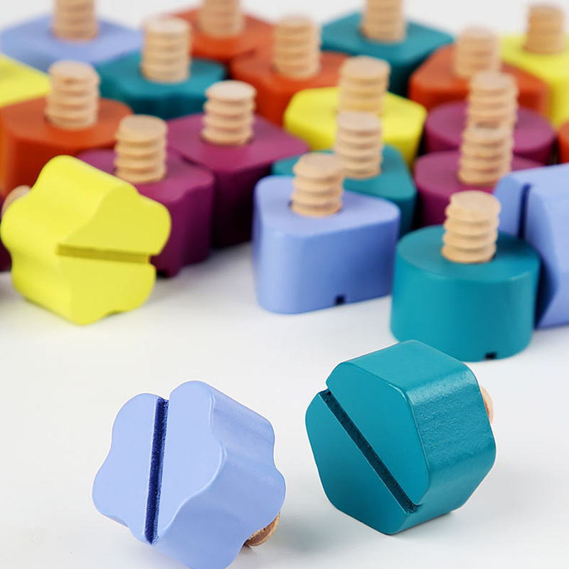 Children Wooden Screw Nut Disa - Montessori Shelf Toy ulasan dan harga