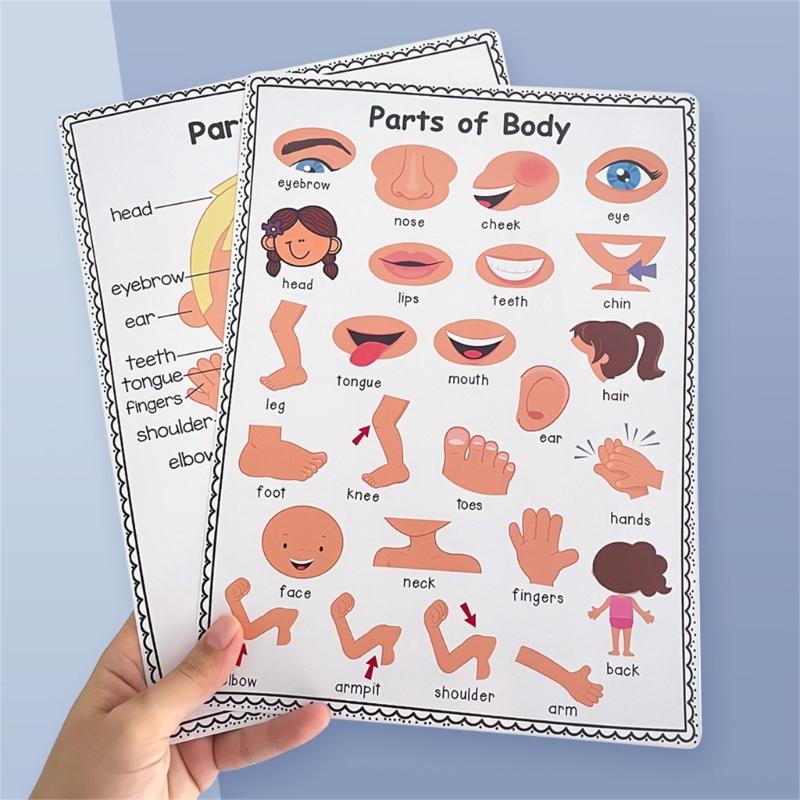 Colorful Educational Poster Te - Kids Educational Poster ulasan dan harga