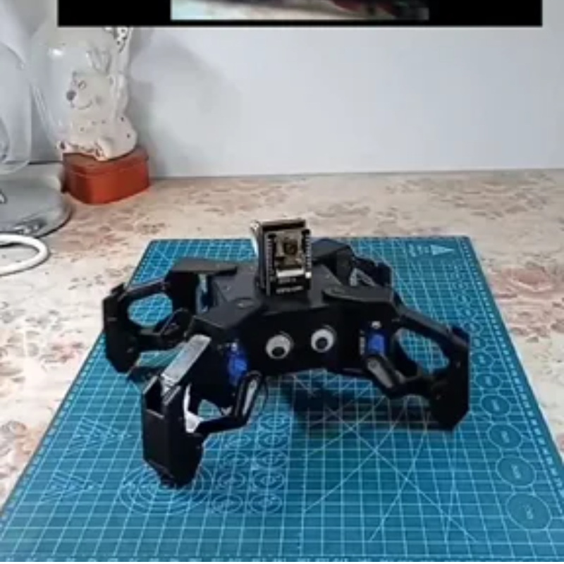 SG90 Video Robot Spider with C - Coding Robot Toy ulasan dan harga